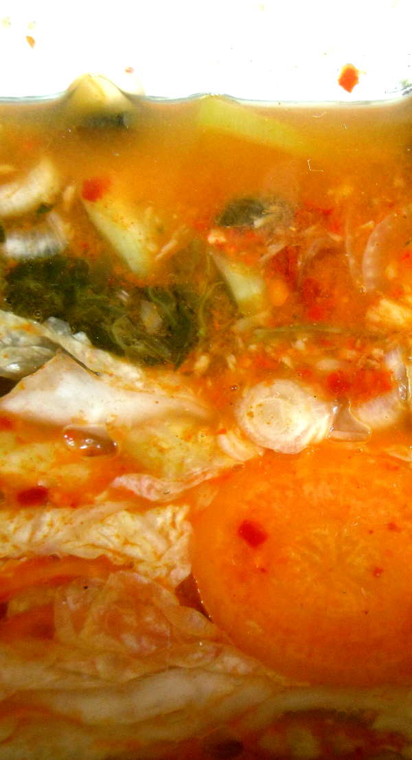 Kimchi, selbst gemacht, frisch eingelegt